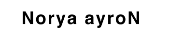 Norya_ayroN_logo (2)